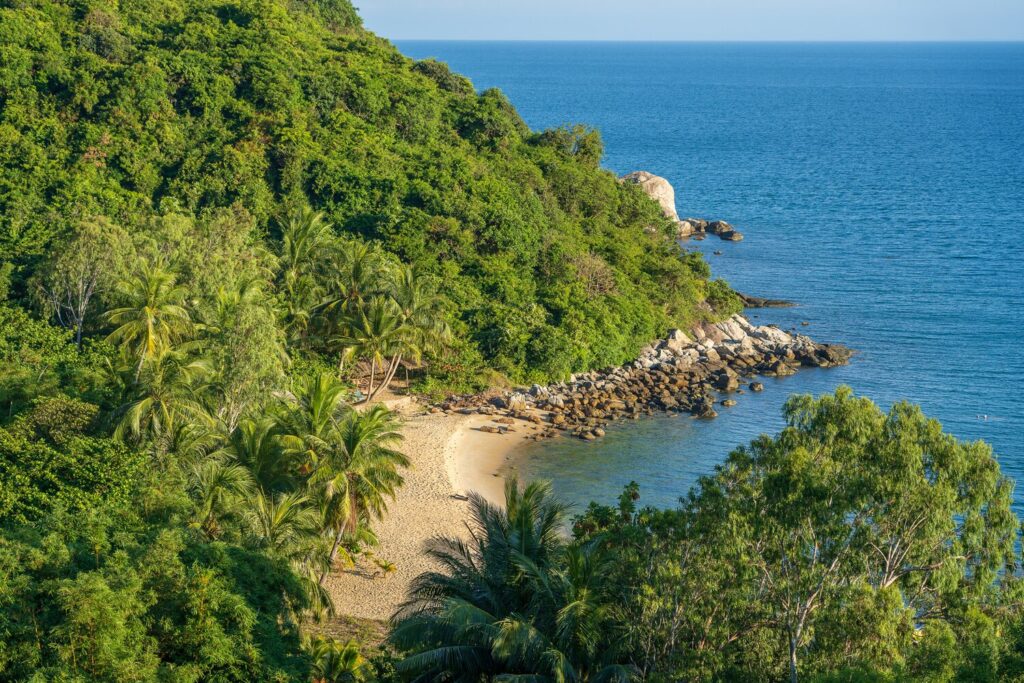 Mountain with green trees sandy beach blue sea 185094 242