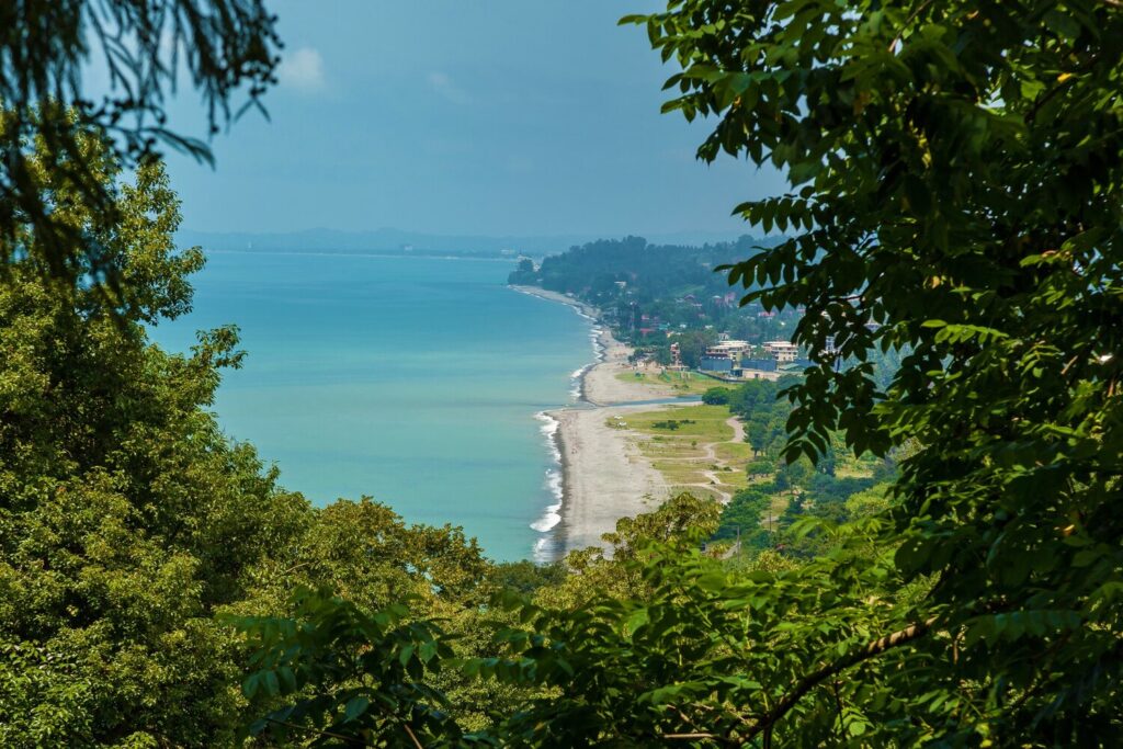 Botanical garden batumi located area mtsvane kontskhi georgia view from 463270 3252