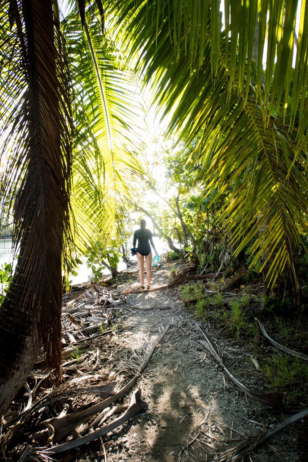 Rear view woman walking forest 1626115 70 Rear view woman walking forest 1626115 70