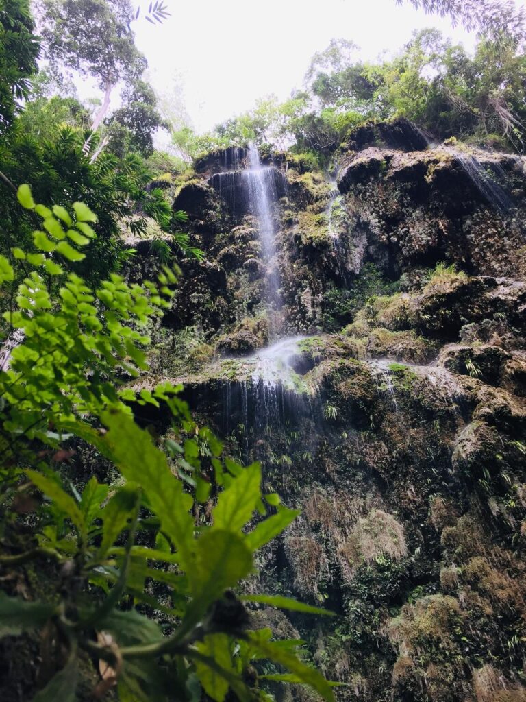 Scenic view waterfall forest 1629198 7 Scenic view waterfall forest 1629198 7