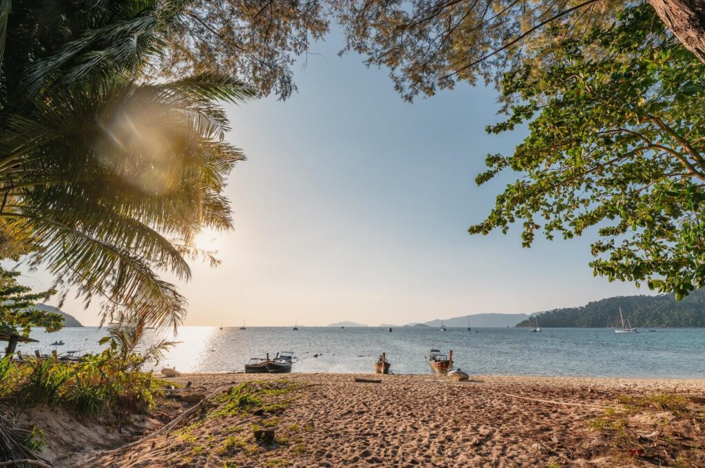 Arch tree beach with wooden boat coastline evening 49071 7203